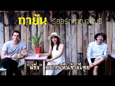 เมื่อเพื่อนฝรั่งอยากเห็นช้างไทยตัวเป็นๆ|กาญจนบุรี||ทายันรีสอร์ท|ปางช้างเผือก|EP.55 SIAM WALKER REVIE