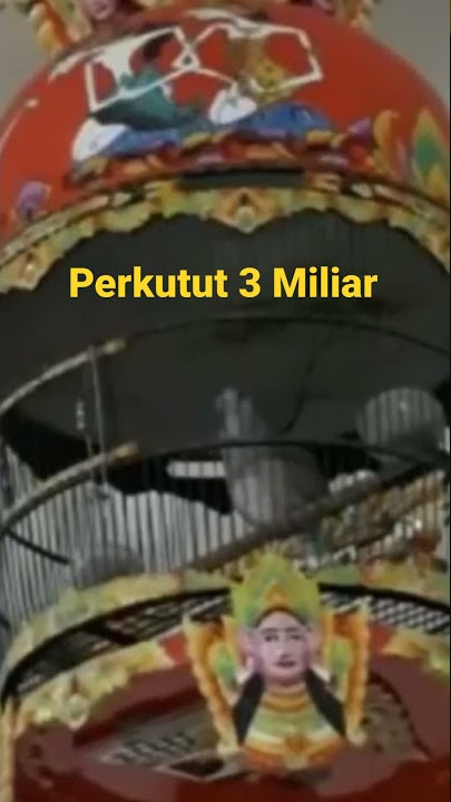 Perkutut 3 Miliar