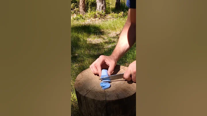 ✅ Survival bushcraft skills: SOAP for Survival 🧼#bushcraft​ #survival #camping​​ #lifehacks
