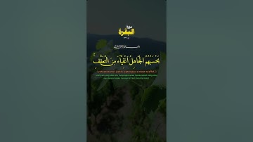 قران كريم #اكسبلور #تيك_توك #لايك #راحة_نفسية #دويتو #ترند #حالات_واتس #e #duet #تصويري #beautiful