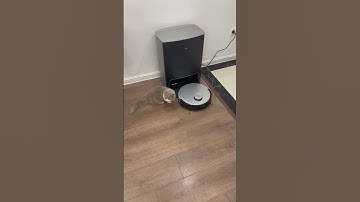 Robot hút bụi lau nhà Ecovacs Deebot X1 Omni, tự động giặt giẻ, tự động đổ rác, hotline 0362.181.191