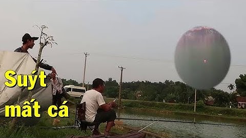 Cận Cảnh Cá Tỳ Phao Câu Lục Lên Cá Chép To - Cười Đau Cả Bụng