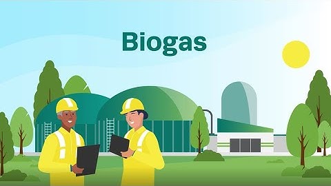 A Journey into Biogases