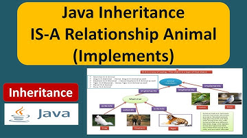 Java Inheritance IS-A Relationship Animal (Implements) | Java Tutorial