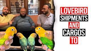 Lovebird Shipments & Cargos To…..?