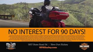 Get Some Perspective | Harley-Davidson of New Port Richey