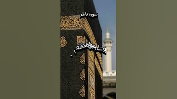 ﴿ وما يستوي الأعمى والبصير ﴾#سورة_فاطر