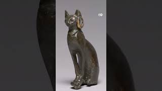इतिहास में कैसे बदली बिल्लियों की भूमिका [From wildcat to catfluencers: Role of cats in history]
