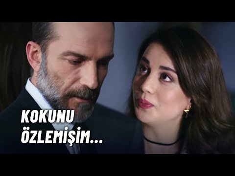 Jülide, Namık'ın Aklını