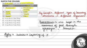 MATCH THE COLUMN Match the columns and find the correct combination. \begin{tabular}{|l|l|r|l|} ...