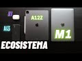 Il mio ecosistema Apple! MacBook Pro M1 + iPad Pro 12.9 + iPhone 11