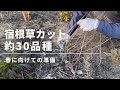 《春準備!宿根草約30品種カット》マルチングの材料を調達するため宿根草をカットしました!/メドウガーデンのグラス~宿根草・多年草・低木
