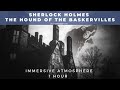 Sherlock Holmes | The Hound of the Baskervilles | Immersive Atmosphere