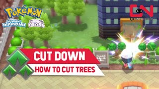 How to Cut Down Trees Hidden Move Pokemon Brilliant Diamond & Shining Pearl