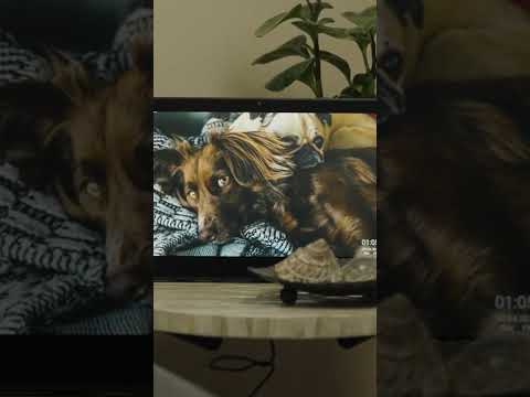 Digital Frames |