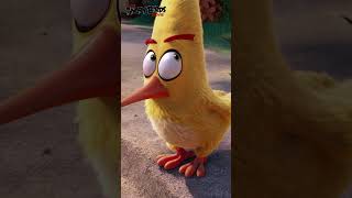 The Angry Birds Movie: Maybe It Wasn't Ice Cream (FAMILY MOVIE #SHORTS) screenshot 1