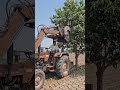 # tranding video jcb se ped ki pangei #shortvideo #farming 👍👌🙏🐒😭🫂❤️🙏👌👌