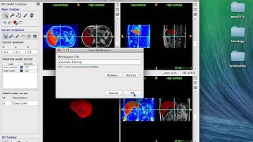 Example of creating and saving a workspace in ITK-SNAP 3.2