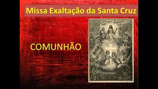Video thumbnail of "EXALTAÇÃO DA SANTA CRUZ - COMUNHÃO"