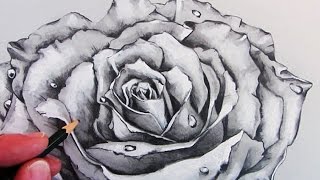 See how to draw a rose in this simple pencil drawing of realistic
rose. subscribe for narrated version here:
http://www./user/circlelinemedia ...