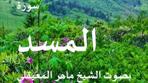 سورة المسد بصوت الشيخ / ماهر المعيقلي 111
