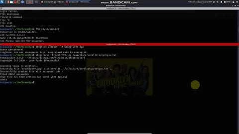 Brooklyn Nine Nine walkthrough (TryHackMe)
