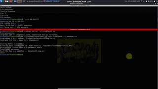 Brooklyn Nine Nine walkthrough (TryHackMe)