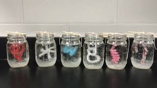 Christmas Chemistry: Crystal Ornaments using Borax