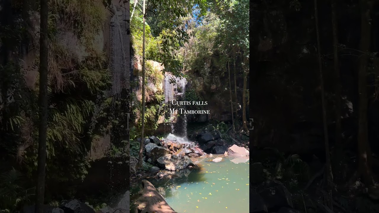 Curtis Falls are just 1 hour drive from Brisbane, don't miss them!🌴  