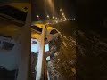 ДТП Жуковский шоссе 