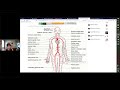 Selective Vs. Non-selective Catheter Placement