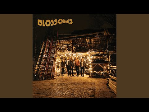 My Favourite Room - Blossoms