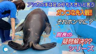 【アシカ】館長の疑問シリーズ（伊勢シーパラダイス／水族館）