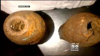 Famous WWI Artillery Shells Found In Teens' Luggage At O'Hare Net Worth
