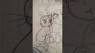 sailor Moon lunaanime