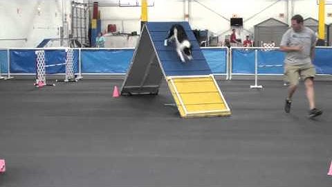 Teaching Fidget a running Aframe :)