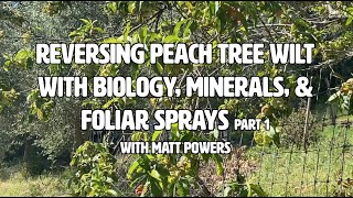 Peach Leaf Curl Treatment pt 1 with Matt Powers | Advanced Permaculture Student Online