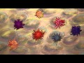 Морской ёж, пластилиновый познавательный мультфильм. Sea Urchin. Echinoidea. Plasticine Animation