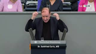 Massenmigration stoppen – Grenzen schützen   Gottfried Curio   AfD Fraktion im Bundestag