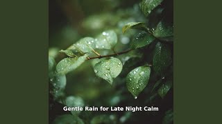 Rain Therapy, Pt.9