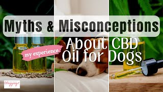 Debunking Common CBD Oil Myths for Dogs by Kimberly Gauthier, CPCN 121 views 8 months ago 1 minute, 25 seconds