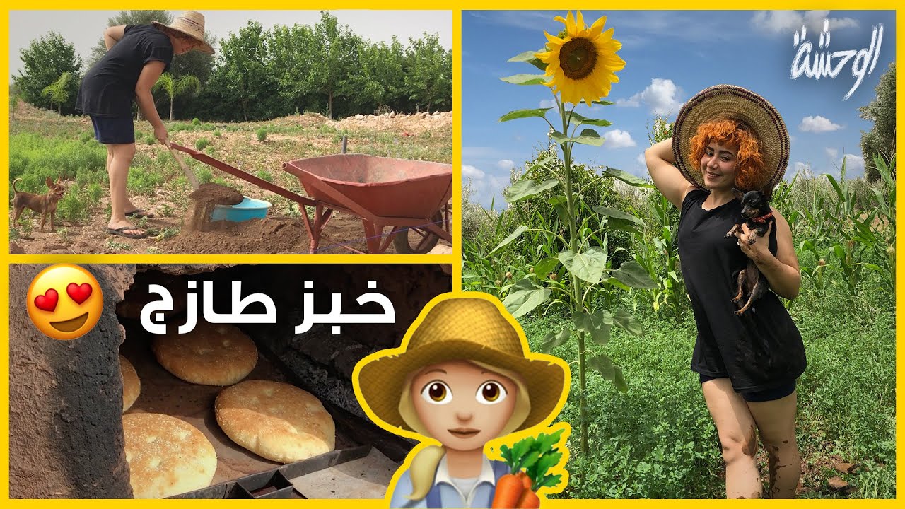 ❤️️🌻👩🏼‍🌾 تركت عملي لكي أسكن في البادية 😍| هكذا أقضي يومياتي في المزرعة