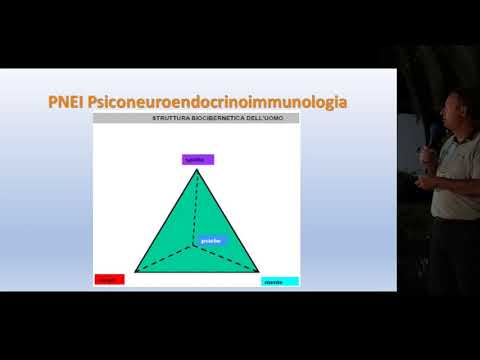 Video: Perché il metodo emf è chiamato metodo pessimistico?