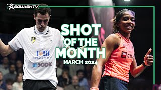 Squash Shots Of The Month - March 2024 💥