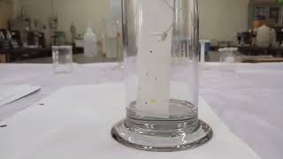 Paper chromatography Separation of mixture of Inorganic Cations