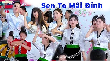 Nhạc Sàn Thái Mới Nhất Năm 2025 Nhảy Mừng Tân Gia Vân Huyền Bản Sen To, Tông Cọ, Thuận Châu