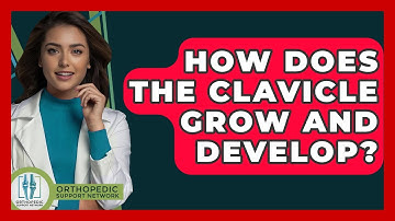 How Does The Clavicle Grow And Develop? - Orthopedic Support Network
