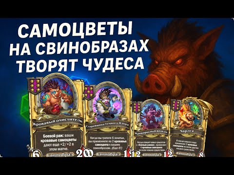💎🐗 ИДЕАЛЬНАЯ КРУТКА! Самоцветы на свинобразах творят чудеса 🚀| Hearthstone Поля Сражений