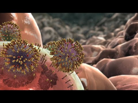 Life Cycle Of Influenza A Animation