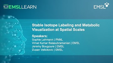 Stable Isotope Labeling and Metabolic Visualization at Spatial Scales | EMSL LEARN Webinar Series